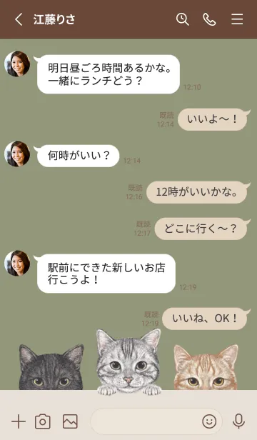 [LINE着せ替え] 猫 - アメショ - オリーブの画像3