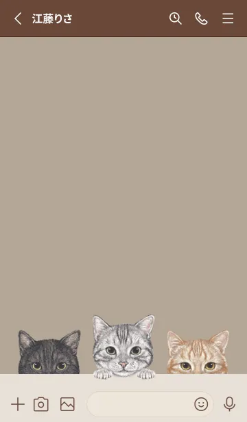 [LINE着せ替え] 猫 - アメショ - カーキーの画像2