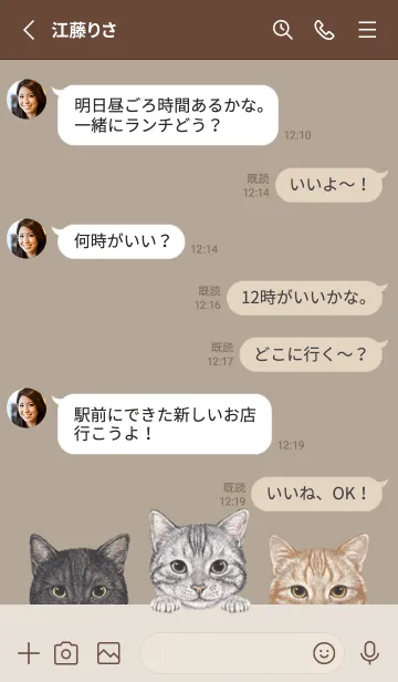 [LINE着せ替え] 猫 - アメショ - カーキーの画像3