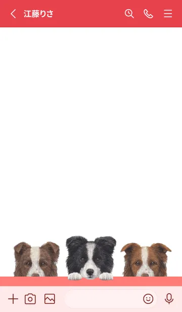 [LINE着せ替え] ワンワン！ - ボーダーコリー - 白×赤色の画像2