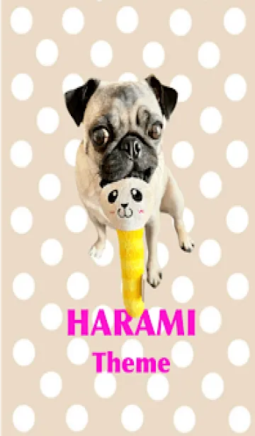 [LINE着せ替え] 【修正版】ハラミの着せ替え(その1)の画像1