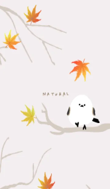 [LINE着せ替え] シマエナガ もみじ24の画像1