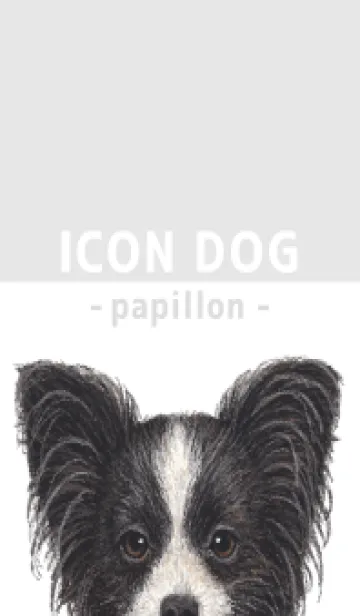 [LINE着せ替え] ICON DOG - パピヨン - GRAY/05の画像1