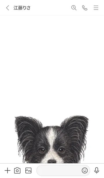 [LINE着せ替え] ICON DOG - パピヨン - GRAY/05の画像2