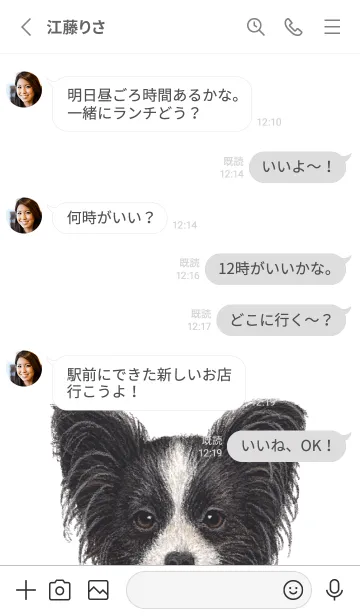 [LINE着せ替え] ICON DOG - パピヨン - GRAY/05の画像3