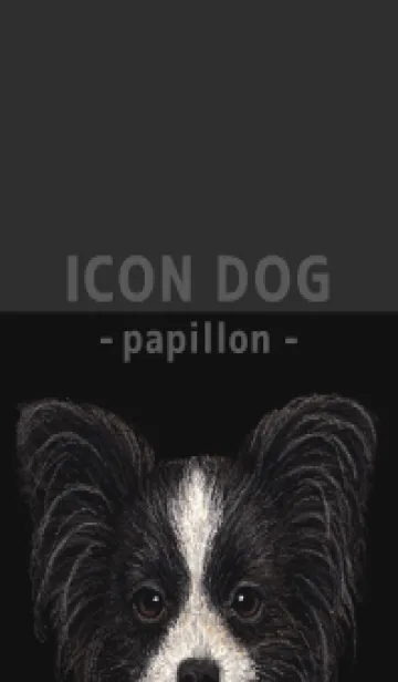 [LINE着せ替え] ICON DOG - パピヨン - BLACK/05の画像1