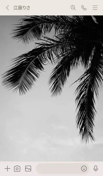 [LINE着せ替え] ALOHA Setting sun palm 83の画像2