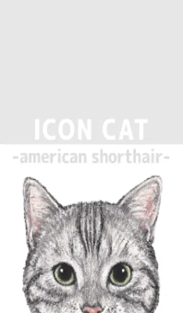 [LINE着せ替え] ICON CAT - アメショ - GRAY/01の画像1