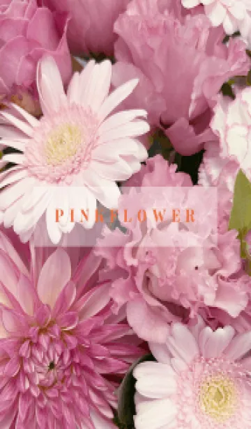 [LINE着せ替え] PINK FLOWER -NATURAL-3の画像1