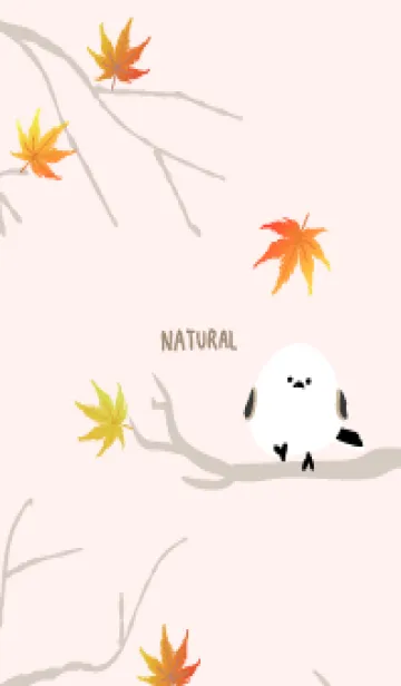 [LINE着せ替え] シマエナガ もみじ27の画像1