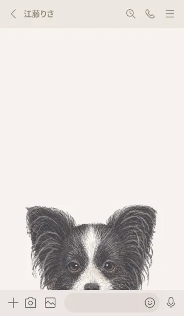 [LINE着せ替え] ICON DOG - パピヨン - BEIGE/05の画像2