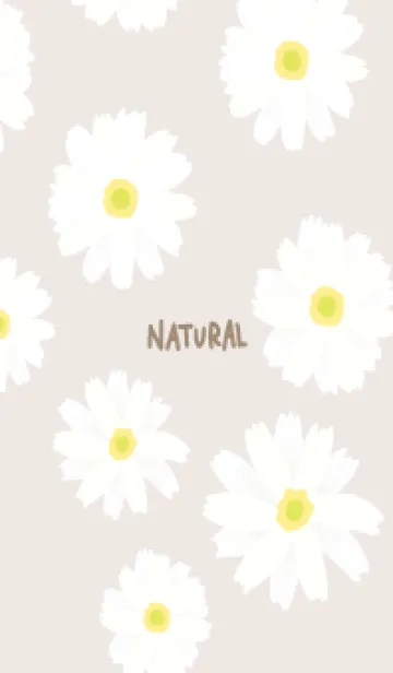 [LINE着せ替え] 白いマーガレット シンプル23の画像1