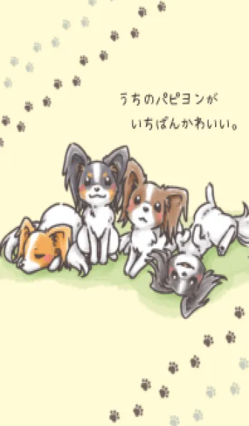[LINE着せ替え] うちのパピヨンがいちばんかわいい。の画像1