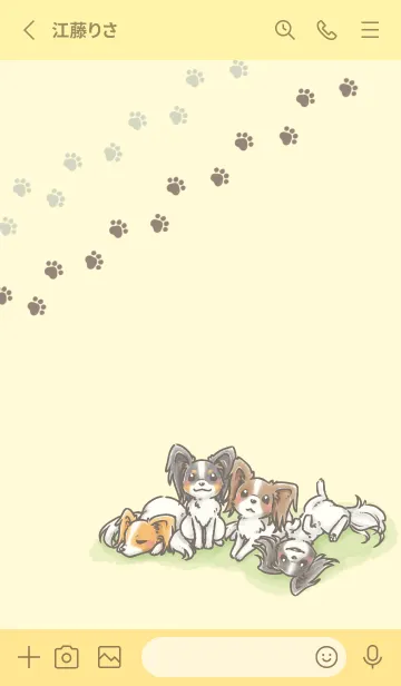 [LINE着せ替え] うちのパピヨンがいちばんかわいい。の画像2