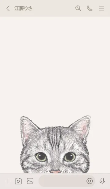 [LINE着せ替え] ICON CAT - アメショ - BEIGE/01の画像2