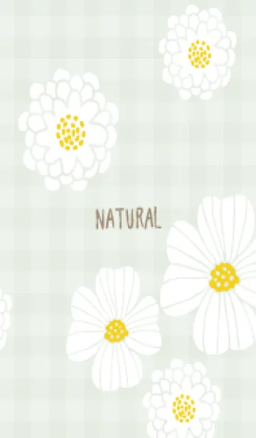 [LINE着せ替え] 白い花 可愛い16の画像1