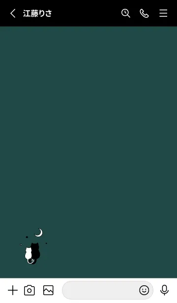 [LINE着せ替え] ネコと月 / 黒とグリーンの画像2