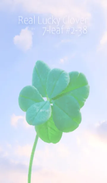 [LINE着せ替え] 本物ラッキークローバー 7-leaf #2-38の画像1