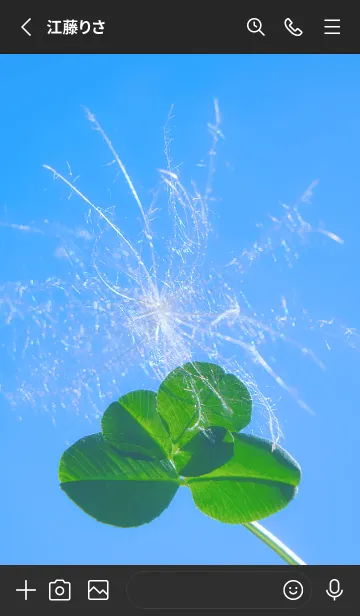 [LINE着せ替え] 幸運の妖精ケサランパサラン #9-26の画像2