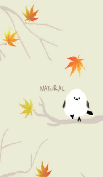 [LINE着せ替え] シマエナガ もみじ14の画像1