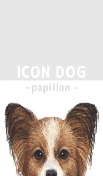 [LINE着せ替え] ICON DOG - パピヨン - GRAY/06の画像1