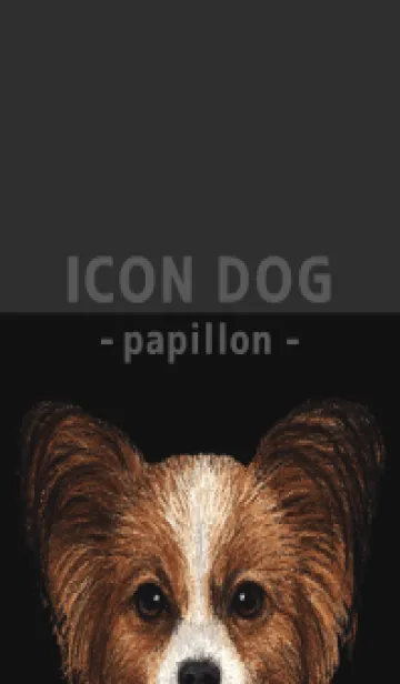 [LINE着せ替え] ICON DOG - パピヨン - BLACK/06の画像1