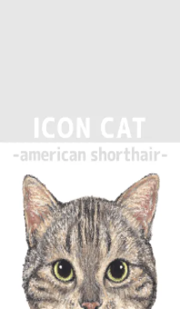 [LINE着せ替え] ICON CAT - アメショ - GRAY/02の画像1