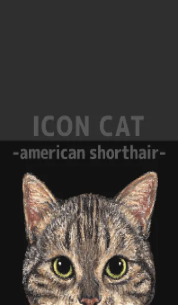 [LINE着せ替え] ICON CAT - アメショ - BLACK/02の画像1