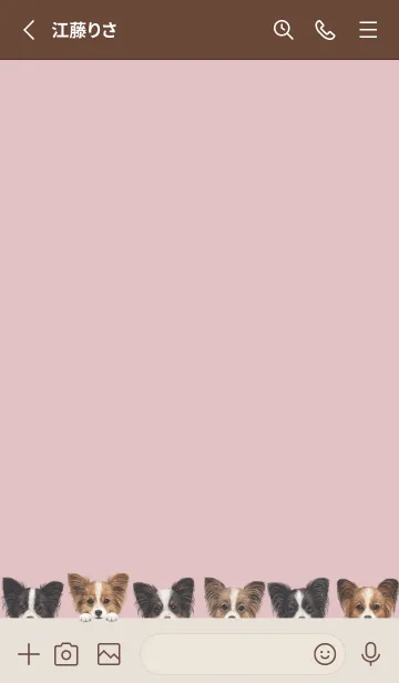 [LINE着せ替え] DOGS - パピヨン - ピンクグレーの画像2