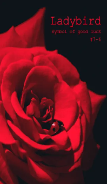 [LINE着せ替え] Ladybird Symbol of good luck #7-6の画像1