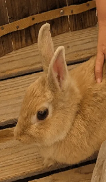 [LINE着せ替え] 癒し系/量産型AXeの画像1