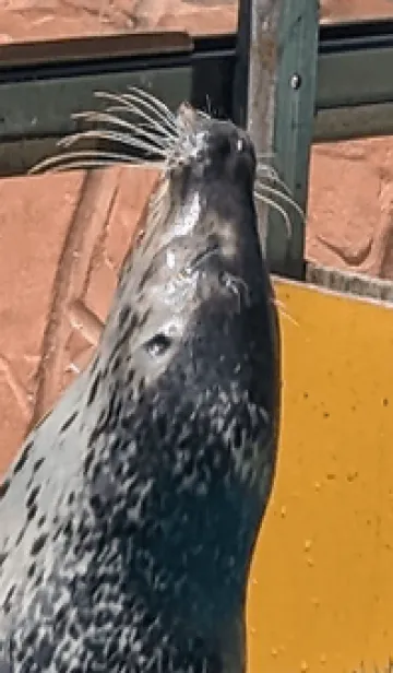 [LINE着せ替え] 癒し系/量産型40Gの画像1