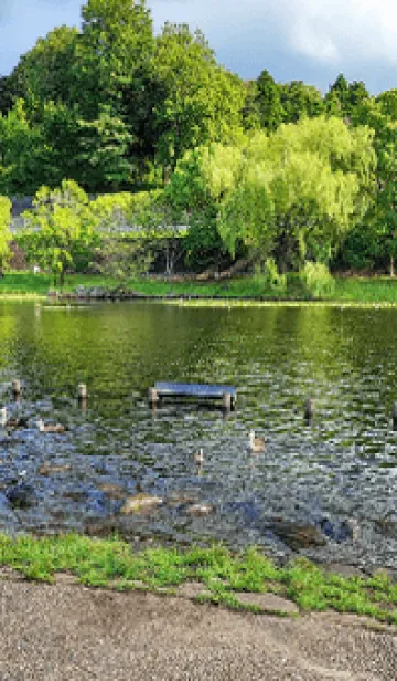 [LINE着せ替え] 最高の気分S>6の画像1