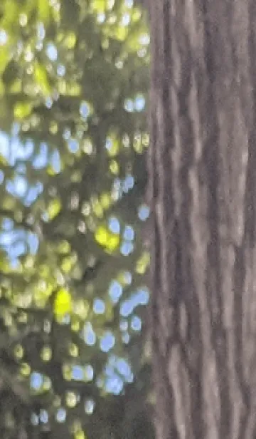 [LINE着せ替え] 最高の気分T>Aの画像1