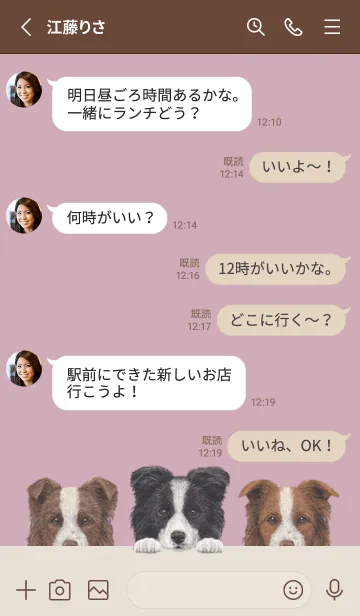 [LINE着せ替え] ボーダーコリー - ダスティローズピンクの画像3