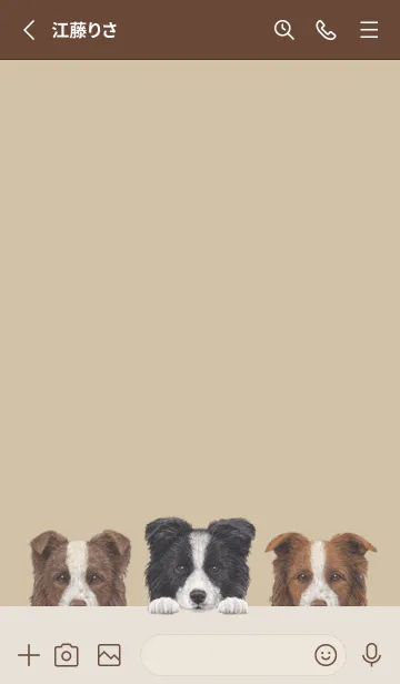 [LINE着せ替え] ワンワン-ボーダーコリー-ダスティベージュの画像2