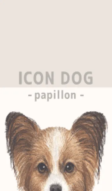 [LINE着せ替え] ICON DOG - パピヨン - BEIGE/06の画像1