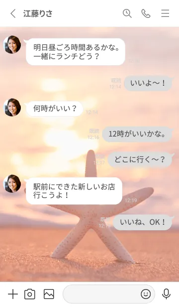 [LINE着せ替え] BeachStar 18の画像3