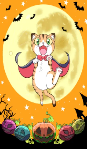 [LINE着せ替え] ねこさまのLet's Halloween time！の画像1