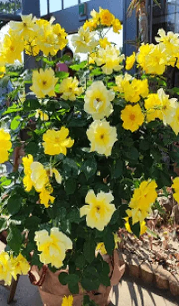 [LINE着せ替え] 最高の気分8q2の画像1