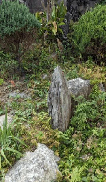 [LINE着せ替え] 痩せてやるGkwの画像1