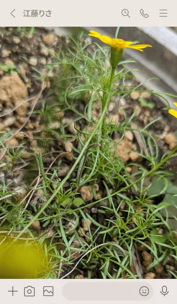 [LINE着せ替え] 痩せてやるcGEの画像2