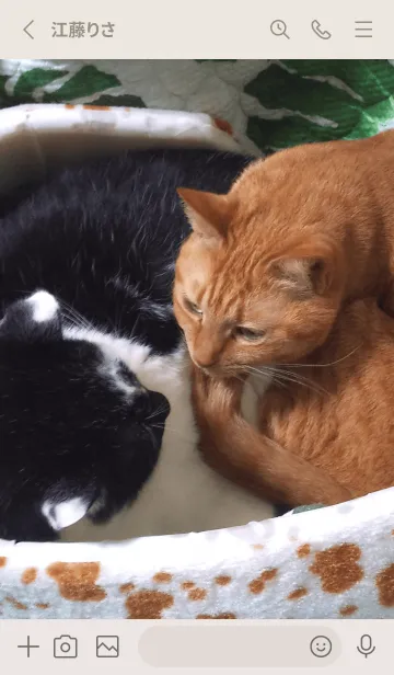 [LINE着せ替え] 痩せてやる^Qtの画像2