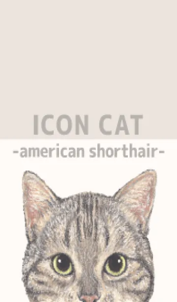 [LINE着せ替え] ICON CAT - アメショ - BEIGE/02の画像1