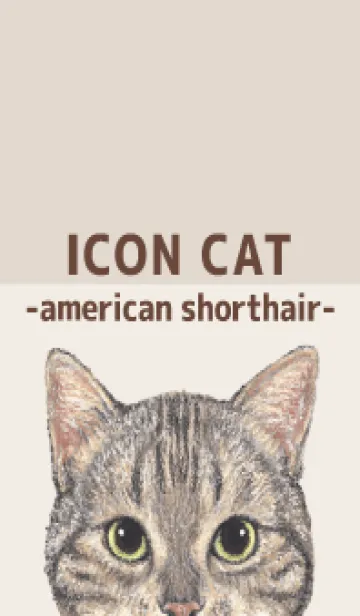 [LINE着せ替え] ICON CAT - アメショ - BROWN/02の画像1