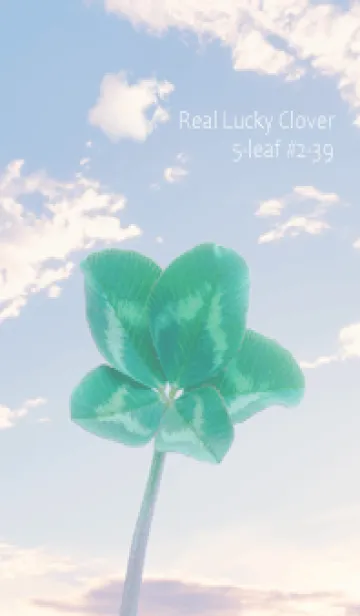 [LINE着せ替え] 本物ラッキークローバー 5-leaf #2-39の画像1