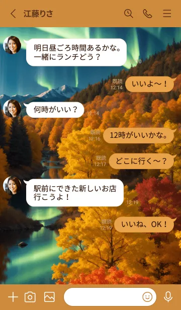 [LINE着せ替え] 紅葉とオーロラの景色01の画像3