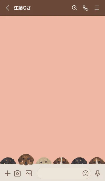 [LINE着せ替え] DOGS - ダックスフンド - サーモンピンクの画像2