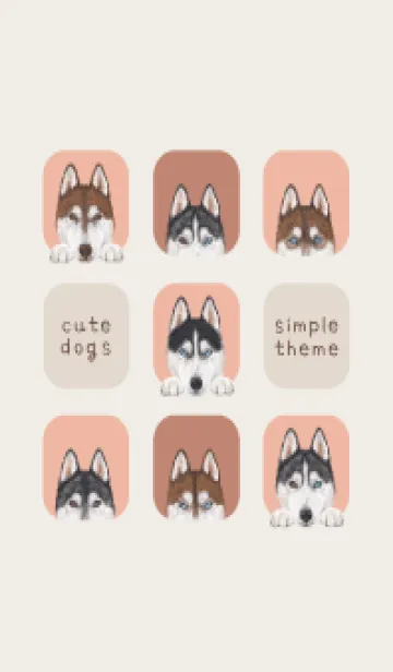 [LINE着せ替え] DOGS - ハスキー - サーモンピンクの画像1