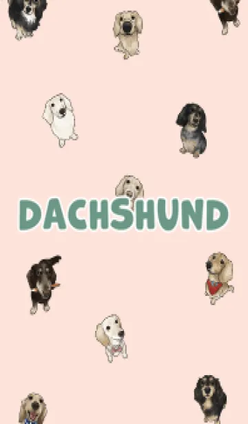 [LINE着せ替え] dachshund6 / peach pink .jpの画像1